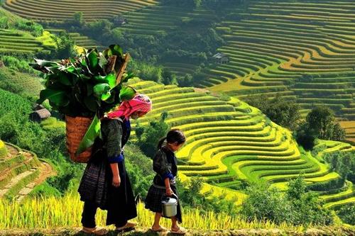 Sapa 2 Days 1 Night From Hanoi - Overnight in Hotel